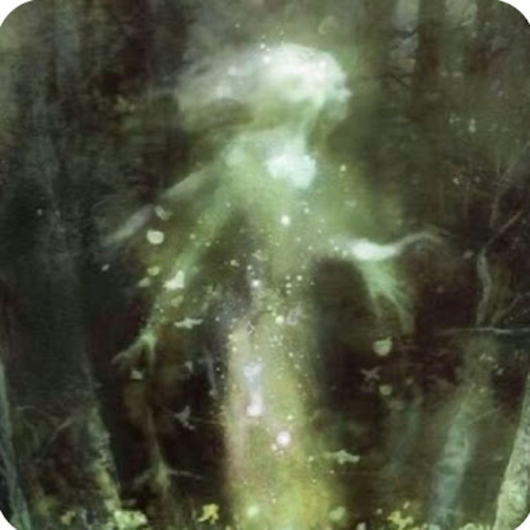 Meet your Posher, Jasmine - Picture 1 of 1